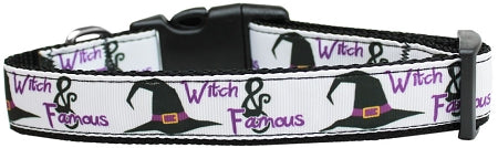 Witch And Famous Nylon Dog Collar Large