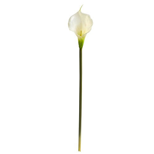 Nearly Natural 2006-S12-CR 28 Calla Lily Artificial Flower (Set Of 12) Cream