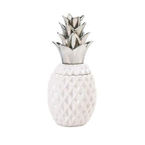 Accent Plus 10018752 12 Silver Topped Pineapple JAR Set, White