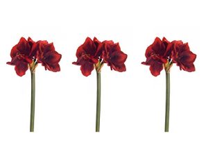Floral Kingdom Real Touch 30' XLarge Artificial Amaryllis Flowers for vase Arrangements, Home/Office Decor (Pack of 3) (Red)