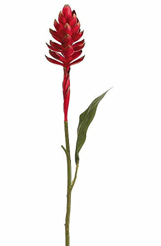 Hawaiian Ginger Artificial Flower in Red - 30 Tall