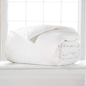 Ella Jayne Home Penthouse Collection 100% Certified RDS Down All Season White Comforter, Twin