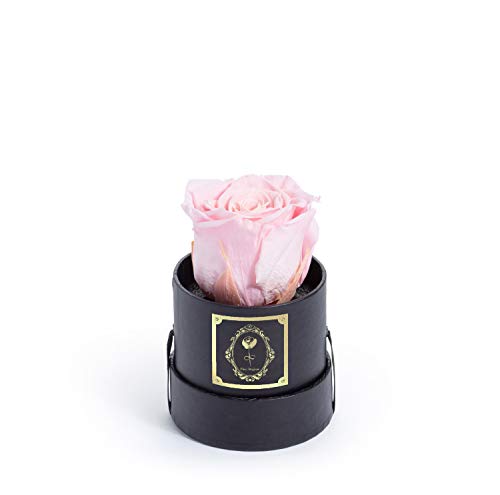 Fleur Magique | Preserved Roses Small Round Classic Black Box - Pink Rose