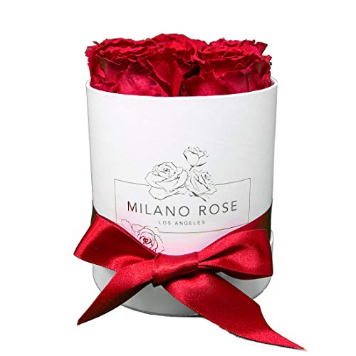 MILANO ROSE Classic Red Eternity Roses (Small Box)