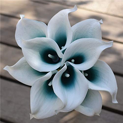 ShineBear Oasis Teal Wedding Flowers Teal Blue Calla Lilies 10 stem Real Touch Calla Lily Bouquet Wedding Centerpieces Arrangement Decorat - (Color: White and Oasis Teal)