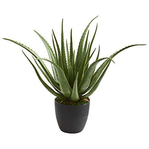 Nearly Natural 6353 Aloe Artificial Silk Plants Green