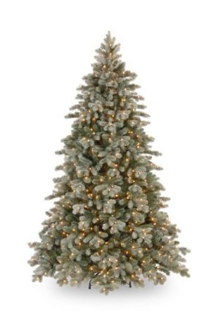 National Tree 7.5 Foot Feel Real Frosted Colorado Fir with 750 Clear Lights (PECSF1-300-75)