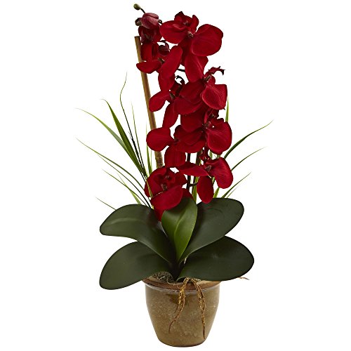 Nearly Natural Phalaenopsis Orchid Silk Arrangement, Red