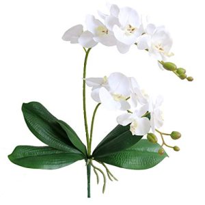 Jasming Artificial Phaleanopsis Flowers Fake Orchids Leaves Branches for Home Bonsai Garden Decoration (White)