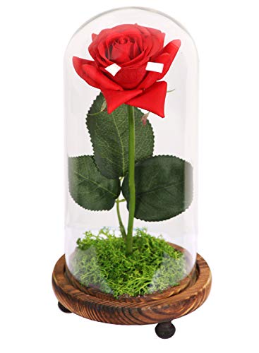 LANGXUN Red Silk Rose and LED Light That Lasts Forever in Glass Dome Inspired and Wooden Base Covered with Real Moss, for Women