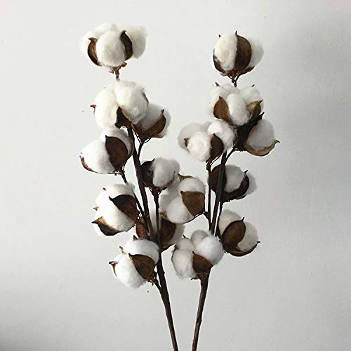 Cotton Stems 22 inch Dried White Artificial Cotton Floral Stem 4 Pack 8 Balls Farm House Flowers