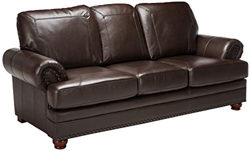 Colton Sofa with Elegant Design Style Brown