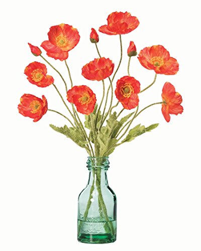 California Poppies Silk Accent - Flame