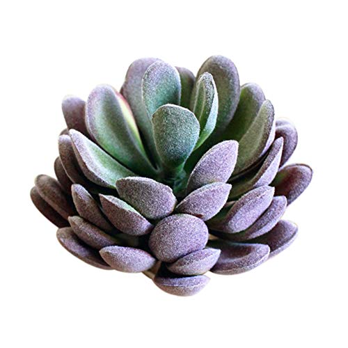 Yamalans Artificial Fake Succulent Plants Bonsai Cactus Tabletop DIY Fake Plants Craft Home Office Cafe Decoration Purple