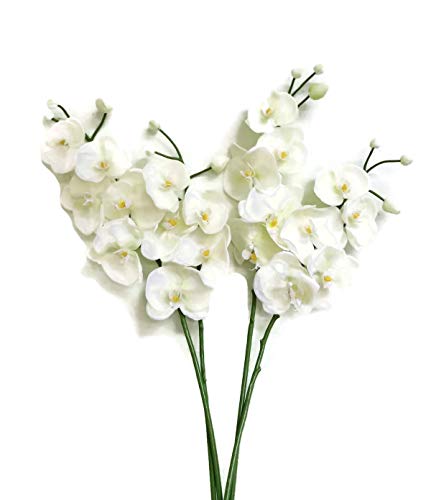 Floral Kingdom Real Touch Latex Single Stem Orchid Branch for Floral Arrangements, bouquts, Office/Home Decor (Pack of 3) (White Cream)