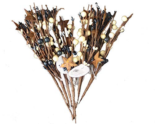 OBI Pip Berry Metal Star Picks Set of 6-9inch Twigs - Mini Artificial Plant Stem for Vases or Crafts - Country Primitive Floral Home Wedding Decor