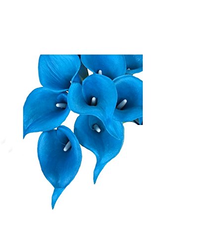 Angel Isabella, LLC 20pc Set of Keepsake Artificial Real Touch Calla Lily with Small Bloom Perfect for Making Bouquet, Boutonniere,Corsage (Malibu Turquoise)