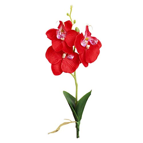 US-PopTrading Artificial Flowers Plastic Simulation Orchid Mini Phalaenopsis Simulation Plants for Wedding Party Baby Shower Home Livingroom Decor