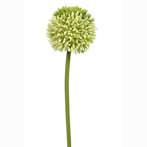 FloristryWarehouse Allium Artificial Single Flower Stem Green 21.5 Inches