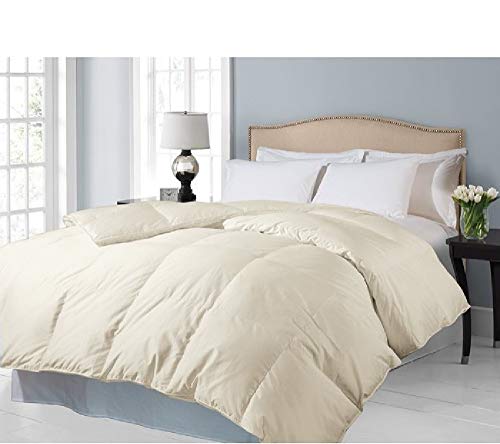 HNU 1 Piece Ivory Oversized King Down Comforter, Egyptian Cotton Bed Comforter, Modern Contemporary Ultimate Comfort Warmth Fluffy Cozy Luxury 700 Thread Count Baffle Box Stitching Hypoallergenic