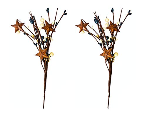 OBI Pip Berry Metal Star Picks 2piece - 9inch Twigs - Mini Artificial Plant Stem for Vases or Crafts - Country Primitive Floral Home Wedding Decor