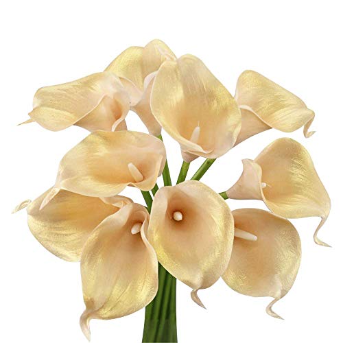 Angel Isabella, LLC 20pc Set of Keepsake Artificial Real Touch Calla Lily with Small Bloom Perfect for Making Bouquet, Boutonniere,Corsage (Blush with Metallic Gold Shade)