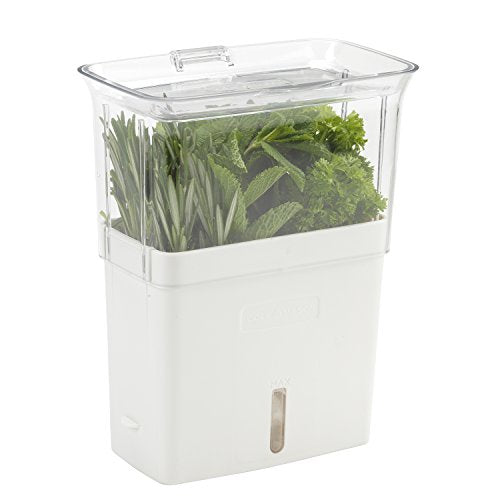 COLE & MASON Fresh Herb Keeper, Container, Clear