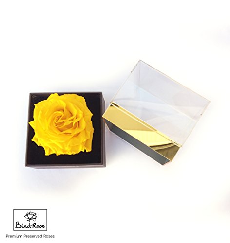 Eternal Rose/Preserved Rose/Long Lasting Rose XXL (4 inches) - Clear Acrylic Designer Giftbox - Yellow