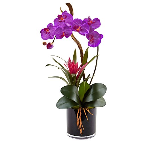 Nearly Natural Orchid and Bromeliad Silk Arrangement,