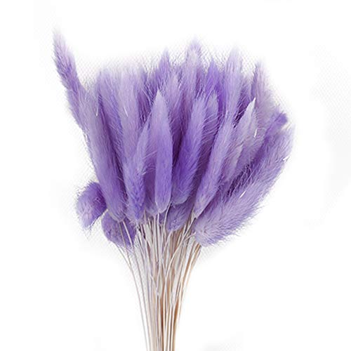 10pcs Colorful Natural Dried Flowers Bouquets Lagurus Ovatus Bouquets and Uraria Picta and Rabbit Tail Grass Bouquets Bouquets (Purple)