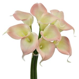 Angel Isabella, LLC 20pc Set of Keepsake Artificial Real Touch Calla Lily with Small Bloom Perfect for Making Bouquet, Boutonniere,Corsage (Blush Trimmed)