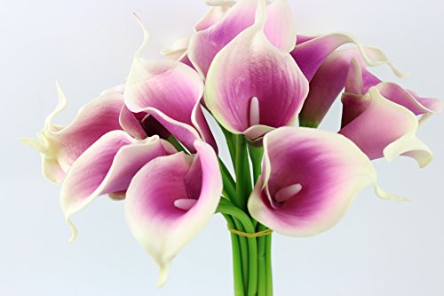 Angel Isabella, LLC 20pc Set of Keepsake Artificial Real Touch Calla Lily with Small Bloom Perfect for Making Bouquet, Boutonniere,Corsage (White Trim with Fuchsia)