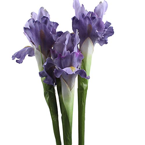 Aparty4u 6pcs Artificial Iris Flowers Real Touch Silk Flowers for Wedding Party Bouquets Home Decor