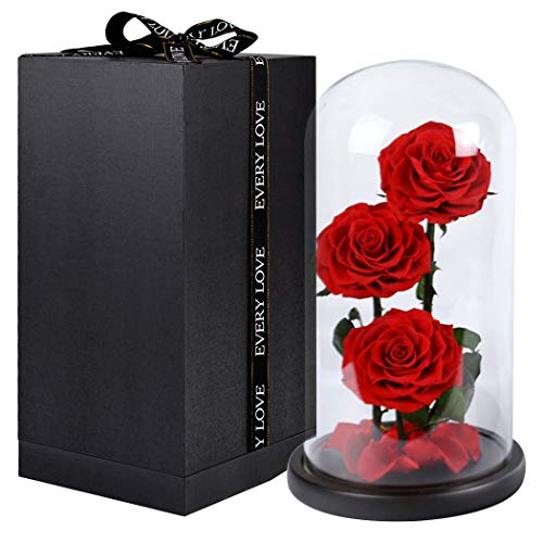 FunPa 3PCS Rose Preserved Flowers Unwithered Beauty and The Beast Red Eternal Roses in a Glass Dome Valentine's Gift Decoration