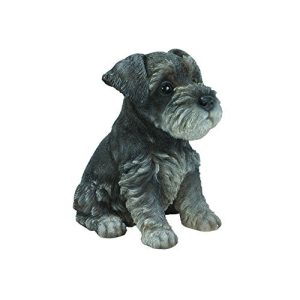 Hi-Line Gift Ltd Sitting Schnauzer Puppy, 7