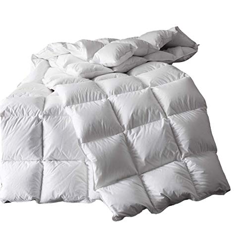 Coozii Down Comforter,All Season Goose Down Comforter,Queen Duvet Insert 1200 Thread Count 750+ Fill Power 100% Egyptian Cotton(90x90 Inches,White)