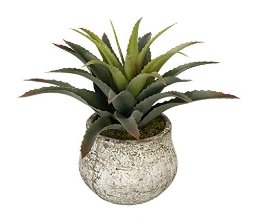 House of Silk Flowers Artificial Star Succulent in Vase (Distressed White)