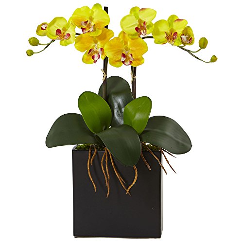 Nearly Natural Double Mini Phalaenopsis Silk Orchid in Black Vase, Yellow