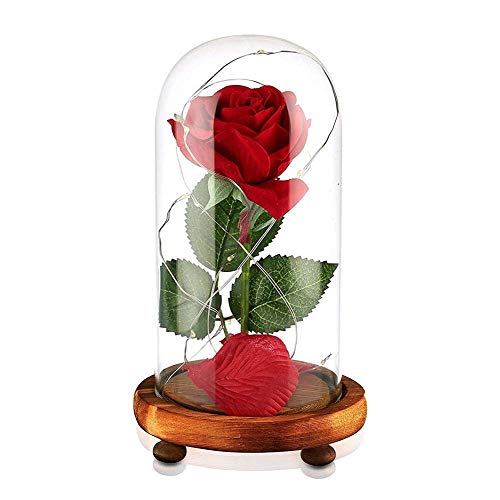 Beauty and The Beast Rose Red Silk Rose in Glass Dome with Fallen Petals & LED Light on Wooden Base Preserved Flowers Gift for Valentine's Day Party Wedding Anniversary Birthday Gift Card Inside