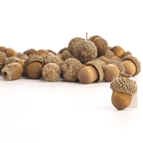 Factory Direct Craft Package of About 48 Realistic Look Acorns for Fall, Autumn and Thanksgiving Table Scatters, Basket Fillers and Crafts