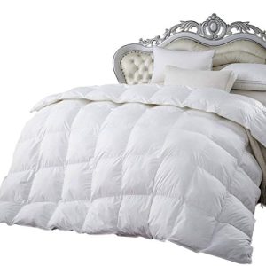 800 Thread Count Light Weight Goose Down Comforter, White, King