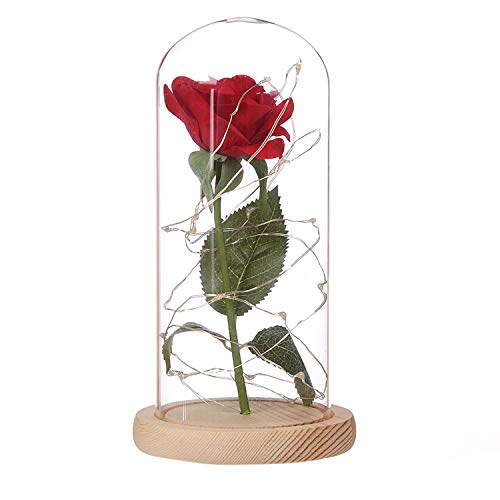 Adoeve Pink Rose Enchanted Red Silk Rose and LED Light in Glass Dome on a Wooden Base Artificial Flowers