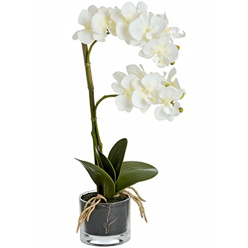 Hill Interiors Harmony Potted Artificial Orchid Plant (One Size) (White)