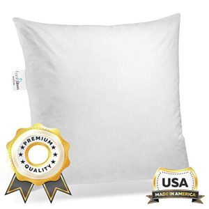 ComfyDown 95% Feather 5% Down, 20 X 20 Square Decorative Pillow Insert, Sham Stuffer - Made in USA