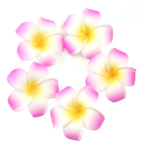 Techinal 5pcs Artificial Plumeria Hair Clip, Simulation Plumeria Hawaiian Foam Frangipani Flower For Wedding Party Decor 2.9 ( Hot Pink )