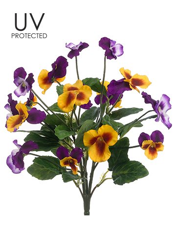 12 UV Protected Pansy Bush Violet Yellow (Pack of 12)