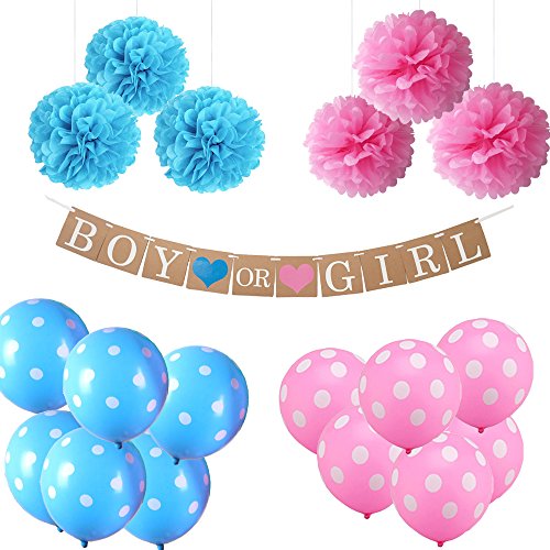 Gender Reveal Party Decorations-17 Pieces Baby Shower Party Decorations,Boy or Girl Pink Or Blue Party Favors,Welcome Baby Decorations,Pregnancy Announcement