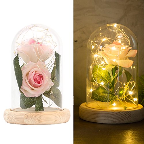 Enchanted Rose Lamp, Beauty and The Beast Rose in Glass Dome, 20 Led Light 2pcs Pink Silk Rose Flower on a Wood Base, Romantic Forever Gift for Birthday Party Wedding Anniversary Valentine's Day Decor