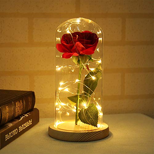 Mories Beauty and The Beast Rose Glass Dome Dried Flowers with LED Light Eternal Flower Gift for Valentine Day