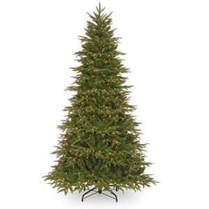National Tree 7.5 Foot Feel Real Northern Frasier Tree with 800 Clear Lights, Hinged (PENO4-307-75)